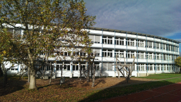Beiträge-Archiv - Steiacher